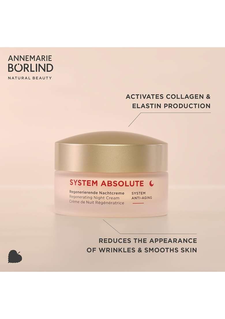 Annemarie Borlind System Absolute Smoothing Day Cream Anti Aging Moisturizer with Aloe Shea - Indya
