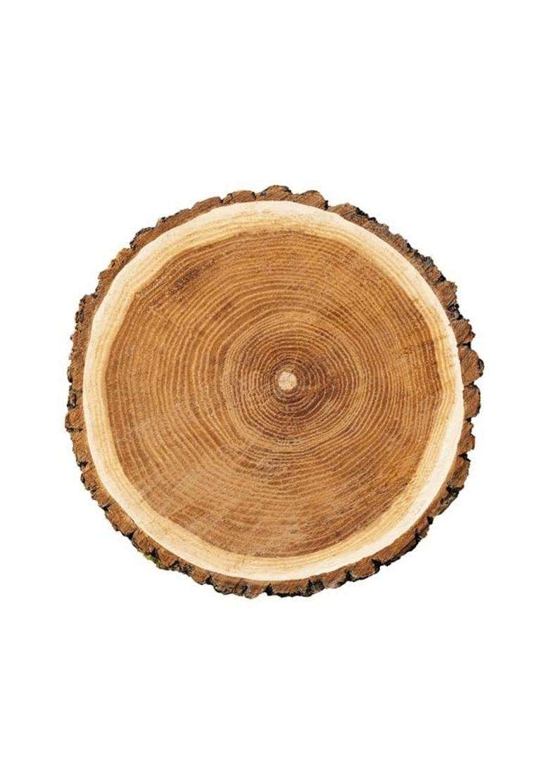 Selfline Shiv Shakti Group Hawan Samidha Hawan Lakdi Mango Wood Sticks for Havan Aam Ki Lakdi for Pooja - Indya