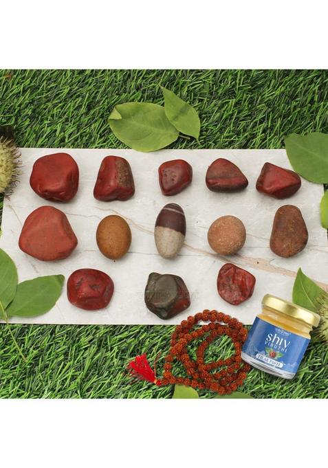 Vedic Vaani Brown for Shravan Puja Jyotirlinga Sadhana for Shravan