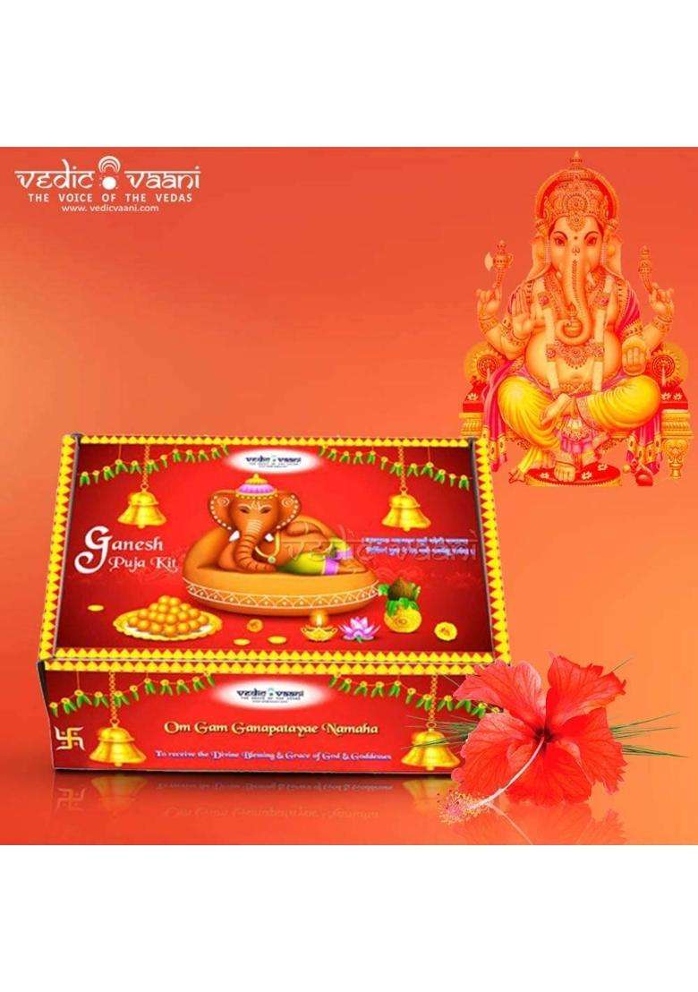 Vedic Vaani Multicolour Shree Subh Vinayak Laxmi Kalash Coconut with Leaves - Indya