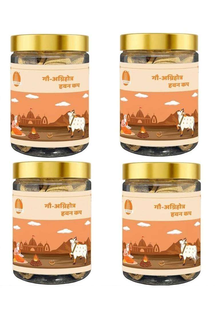 Aastha Brown DEV Darbar Ayurvedic Herbs for Pooja Meditation Pack of 24 - Indya