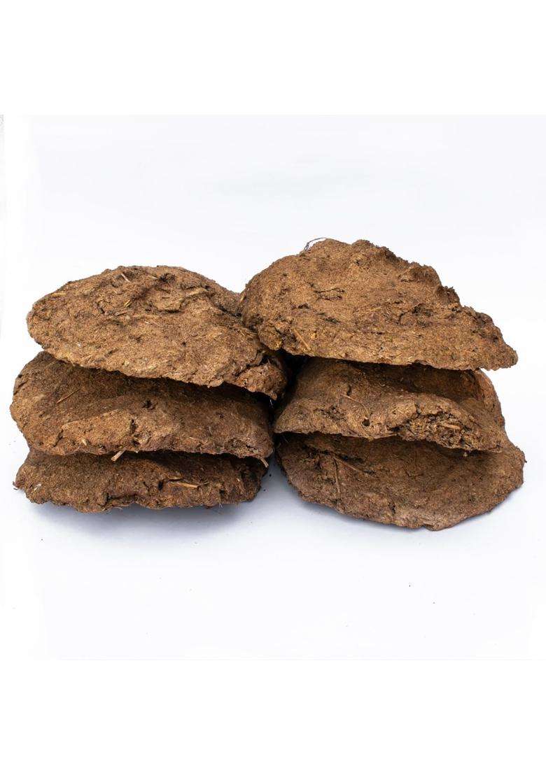TEMP T Brown Natural Cow Dung Discs for Puja Havan and Organic Fertilizer Eco Friendly Smoke Free - Indya