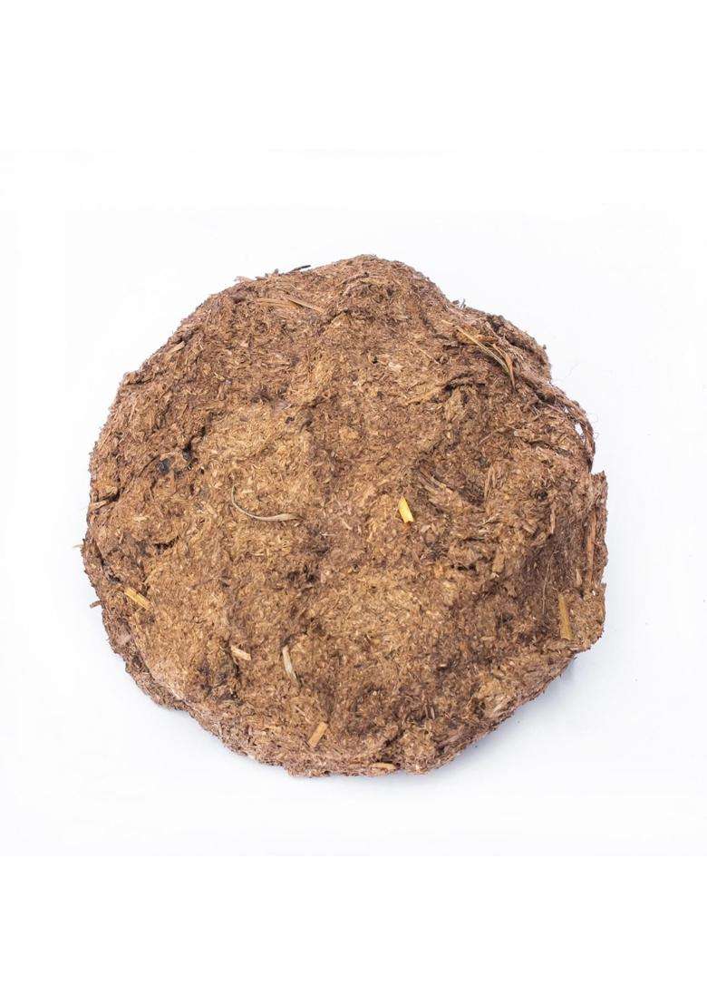 TEMP T Brown Natural Cow Dung Discs for Puja Havan and Organic Fertilizer Eco Friendly Smoke Free - Indya
