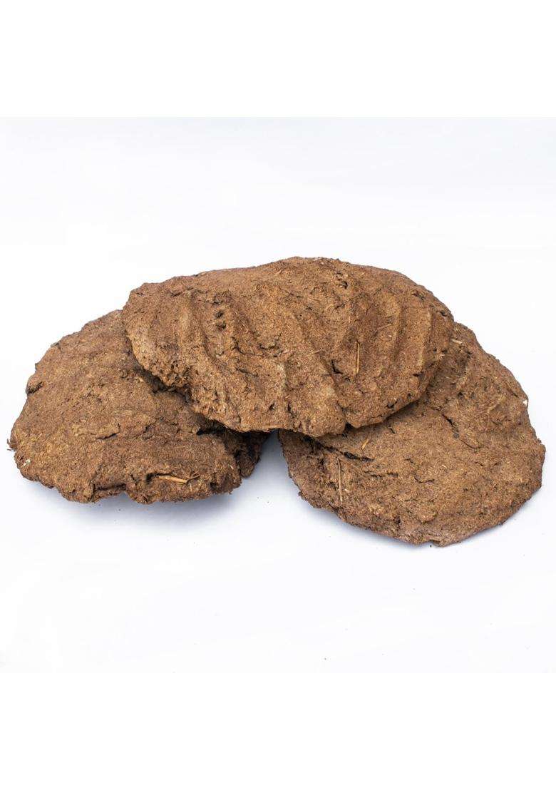 TEMP T Brown Natural Cow Dung Discs for Puja Havan and Organic Fertilizer Eco Friendly Smoke Free - Indya