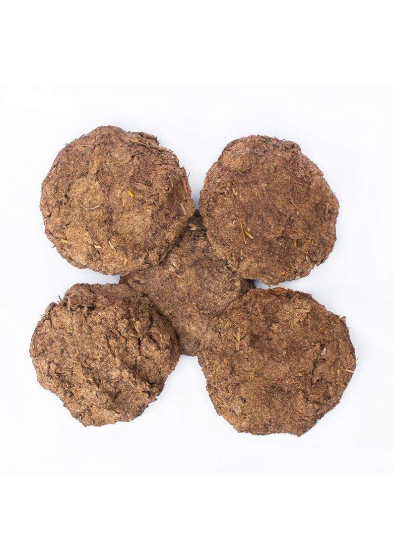 TEMP T Brown Natural Cow Dung Discs for Puja Havan and Organic Fertilizer Eco Friendly Smoke Free - Indya