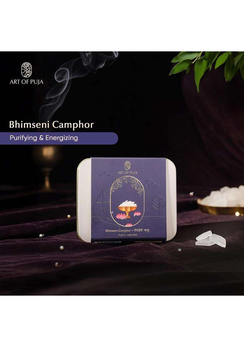 Ganesh Puja Combo Kit Brass Diya Ghee Wicks Jasmine Incense Bhimseni Camphor Roli and Chandan - Indya