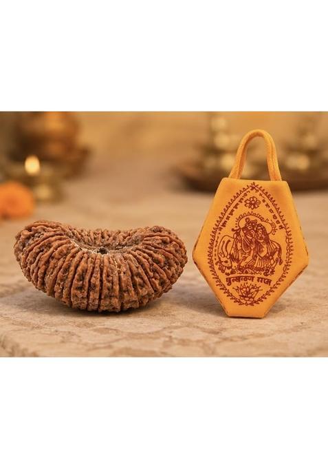 21 Mukhi Rudraksh with Free Japa Mala Bag 21 with Free Bag