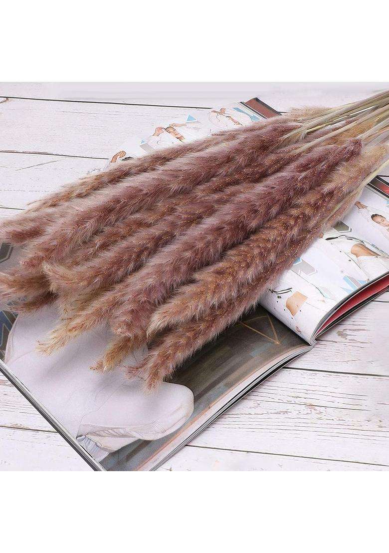 Bedepot Brown Dried Pampas Grass Decor Tall 45CM Natural Dried Pampas Grass 30 Pcs Bouquet for Wedding Floral - Indya