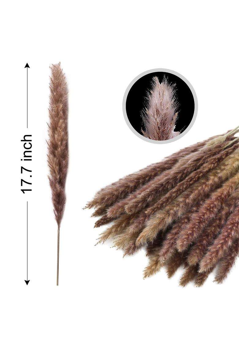 Bedepot Brown Dried Pampas Grass Decor Tall 45CM Natural Dried Pampas Grass 30 Pcs Bouquet for Wedding Floral - Indya
