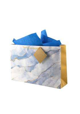 Birch and Co Gift Bags Paper Bags for Return Gifts Paper Gift Bag Large Carry Bags for Gifting Pack of 20
