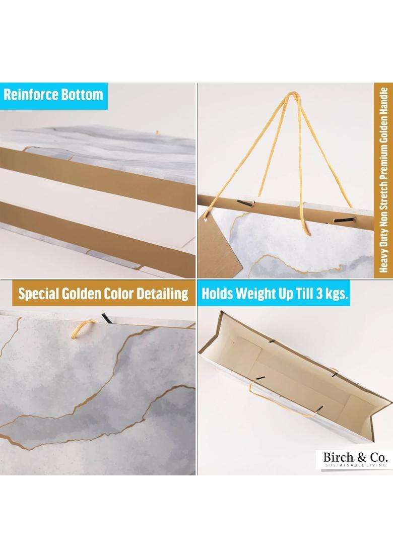 Birch and Co Gift Bags Paper Bags for Return Gifts Paper Gift Bag Large Carry Bags for Gifting Pack of 20 - Indya