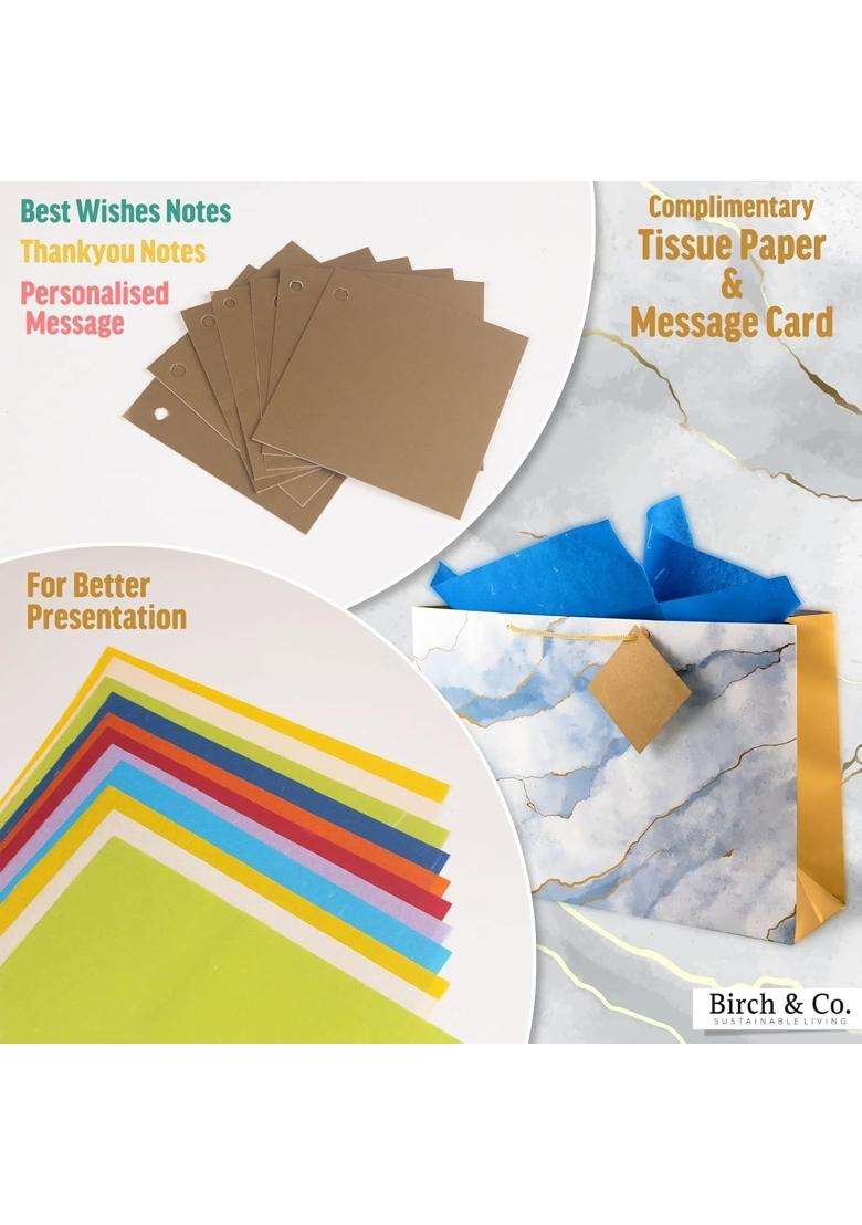 Birch and Co Gift Bags Paper Bags for Return Gifts Paper Gift Bag Large Carry Bags for Gifting Pack of 20 - Indya