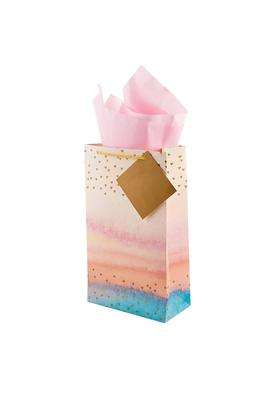 Birch and Co Gift Bags Paper Bags for Return Gifts Paper Gift Bag Pack of 20