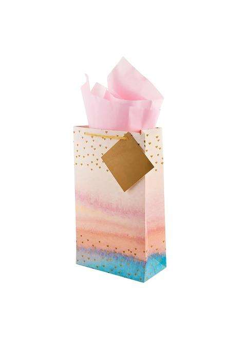 Birch and Co Gift Bags Paper Bags for Return Gifts Paper Gift Bag Pack of 20