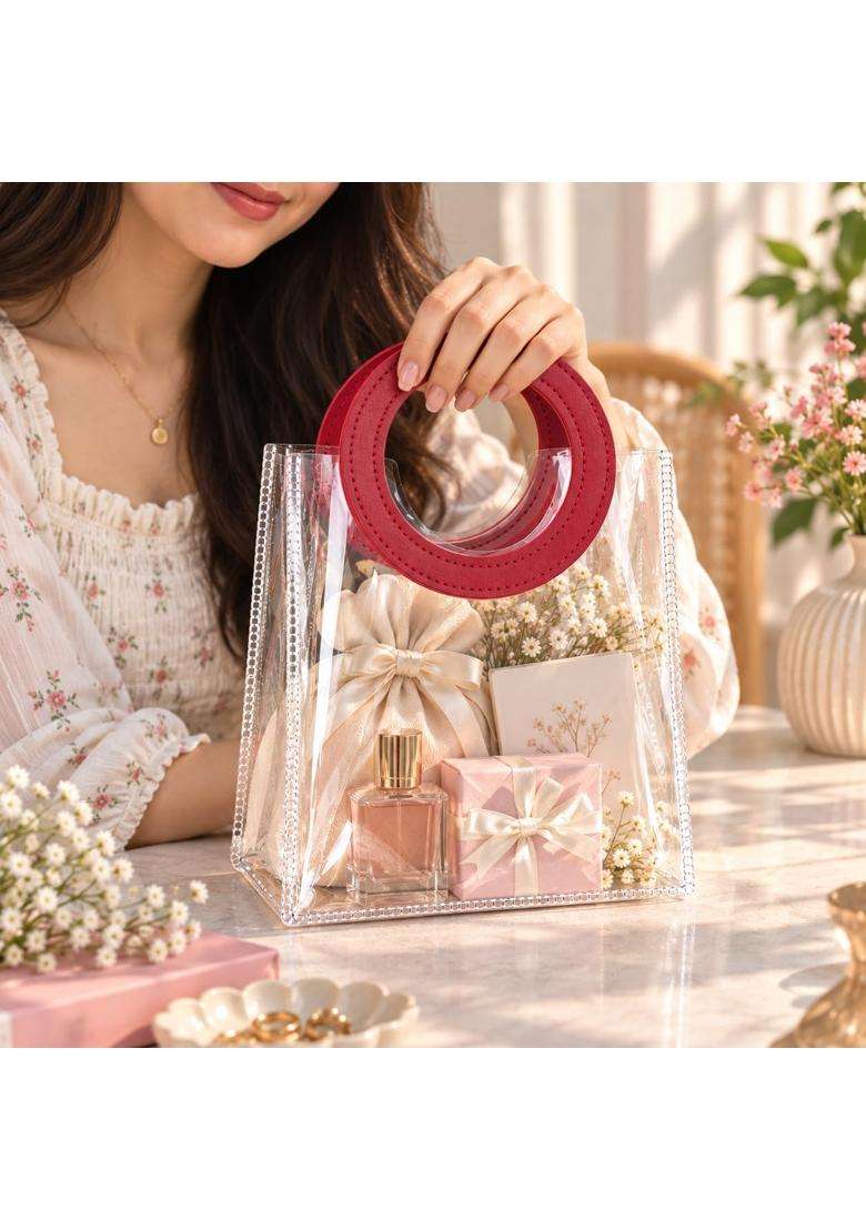 Satyam Kraft 6 Pcs Transparent Reusable Leather Goodie Bags - Indya