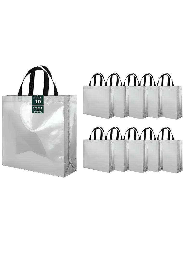 Ekysa Dekor Silver Nonwooven Bags with Handles 9x10x4 Inches - Indya