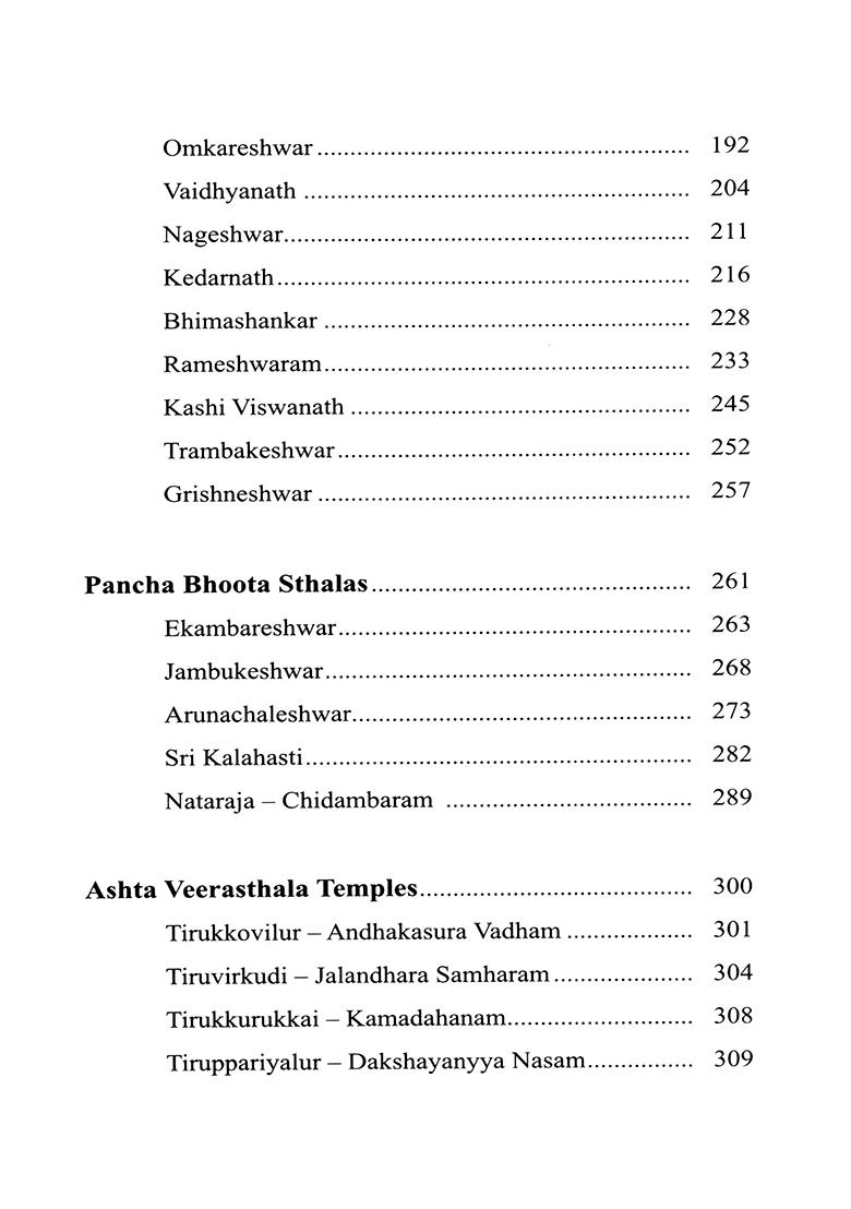 Worshipping Shiva- Om Namah Shivaya - Indya