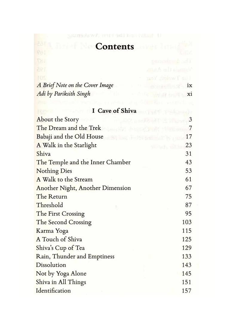 From The Mystical Beyond- Cave Of Shiva Kalki And The First Awakening - Indya