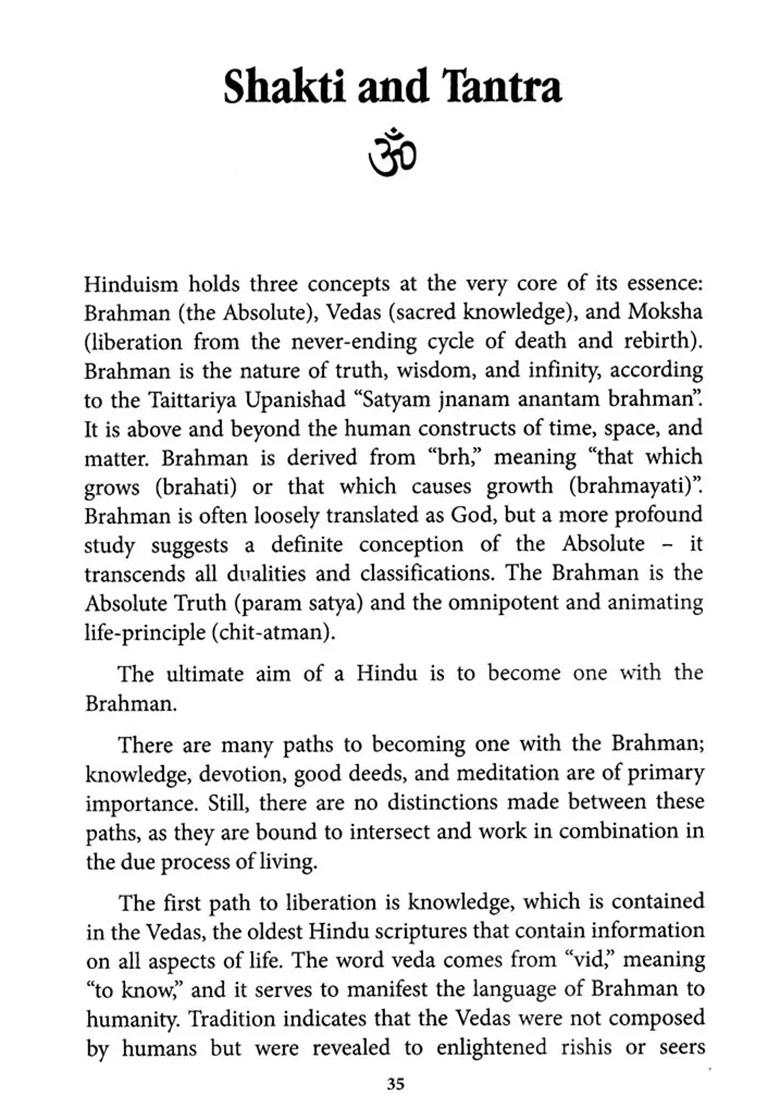 Dasa Mahavidya (The Ten Great Tantric Wisdom Goddesses) - Indya