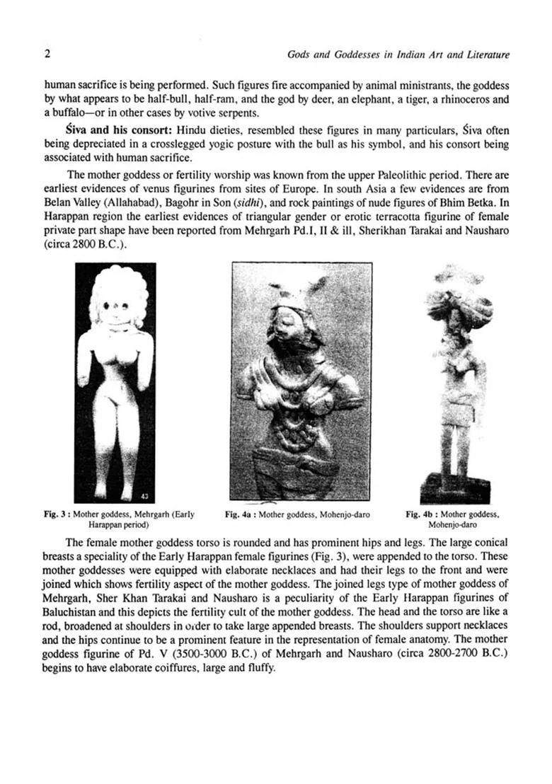 Gods And Goddesses In Indian Art And Literature (A Big Book) - Indya