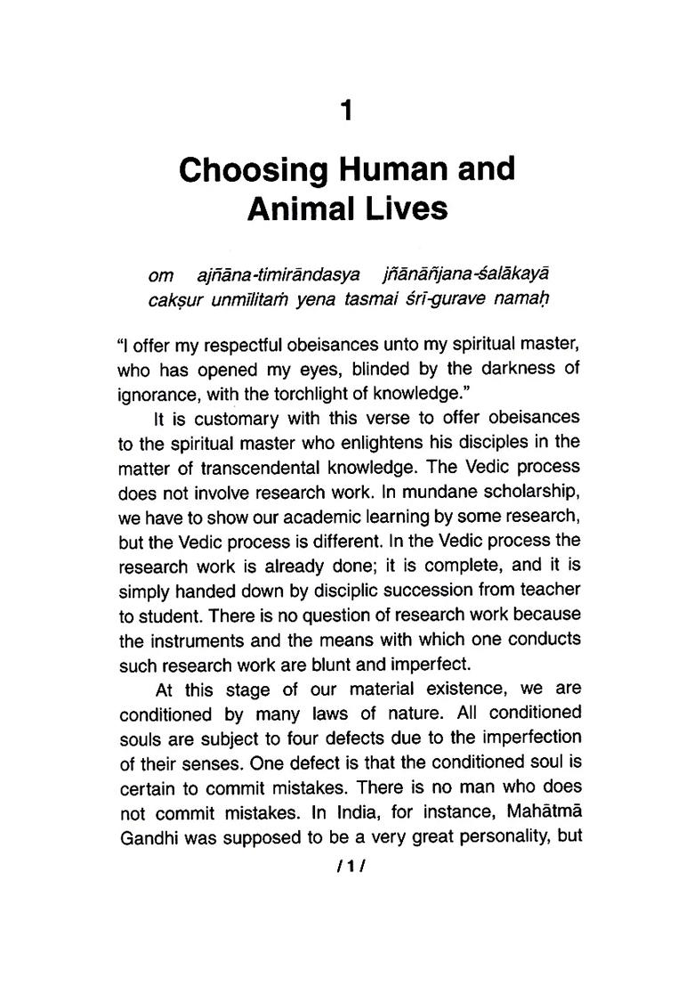 Elevation To Krsna Consciousness - Indya