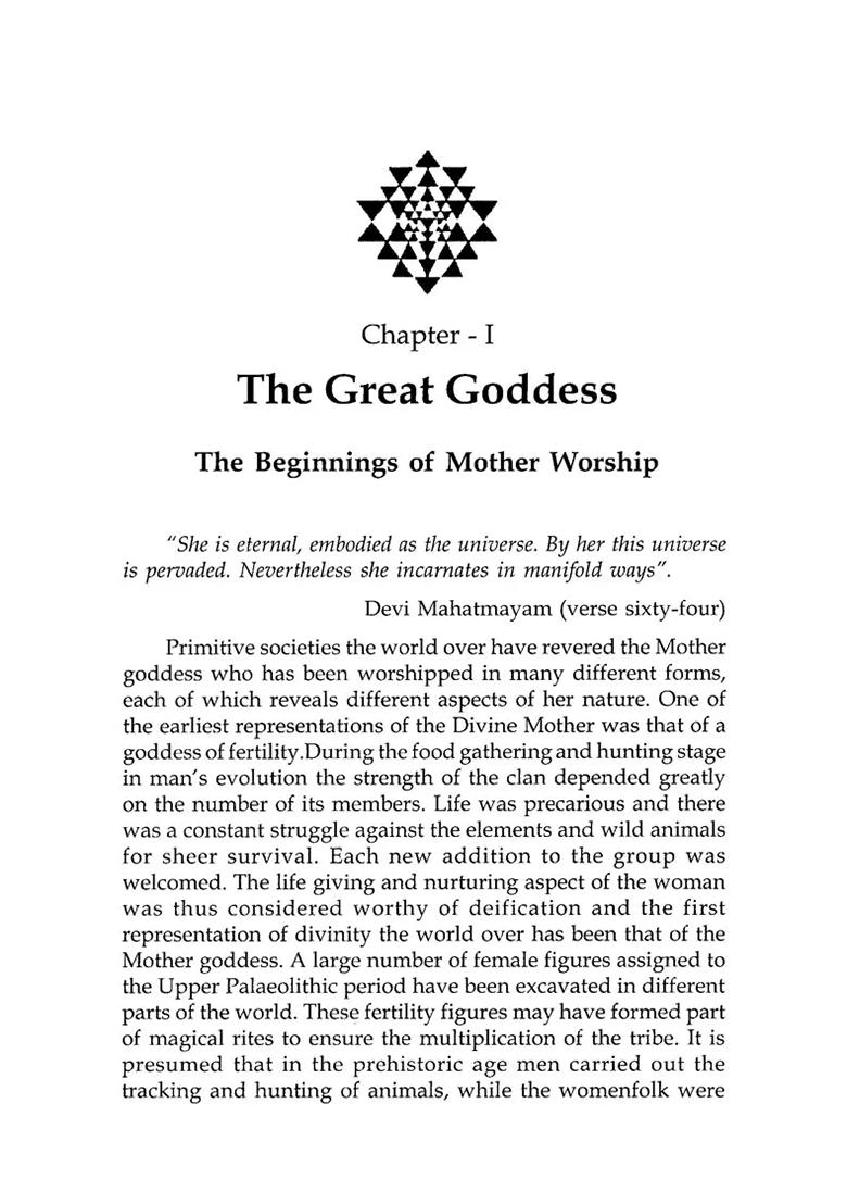 Devi (Goddesses In Indian Art And Literature) - Indya