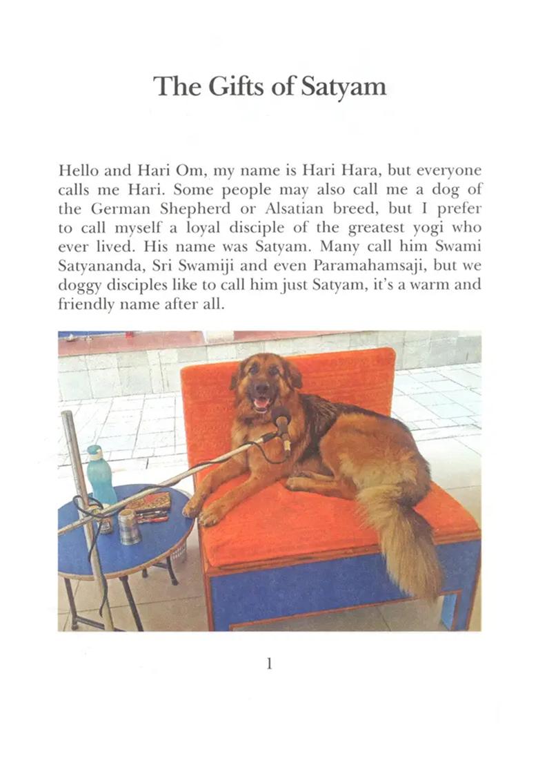 The Gifts Of Satyam Seen Through The Eyes Of Hari And Aryan - Indya