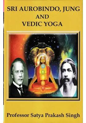 Sri Aurobindo Jung And Vedic Yoga