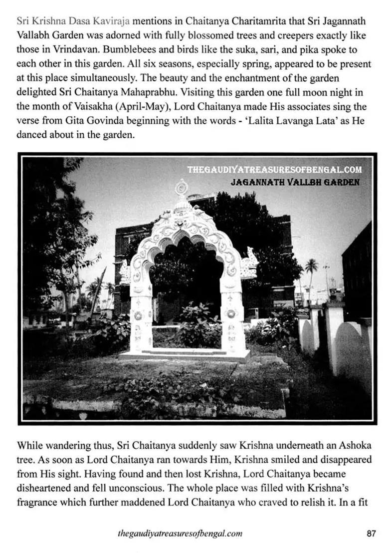 Jagannath Puri Cuttack & Balasore- Holy Dhams History & Travel Guide - Indya