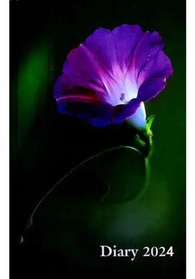 Diary 2024 Selections From The Writings Of The Mother