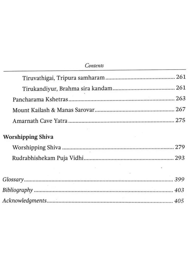 Worshipping Shiva - Indya