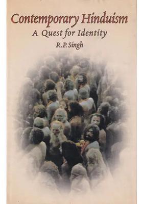 Contemporary Hinduism A Quest For Identity