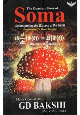 The Quantum Book Of Soma Reinterpreting The Wisdom Of The Vedas