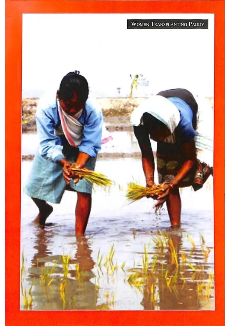 Assam Valley Beliefs And Customs Of The Assamese Hindus - Indya