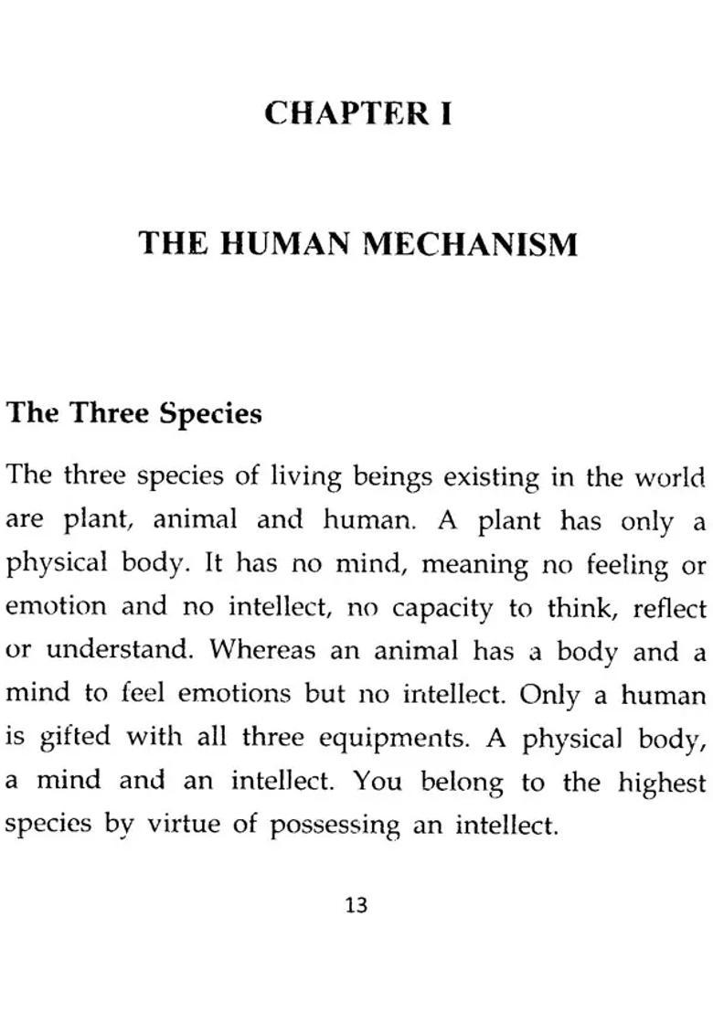 The Holocaust Of Attachment - Indya