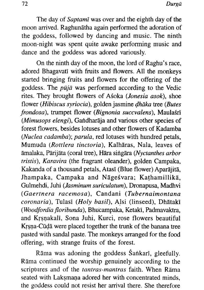 Durga The Great Goddess - Indya