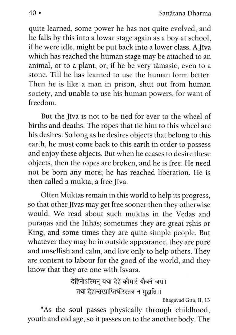 Sanatana Dharma Salutation To The Lord Of The Universe - Indya