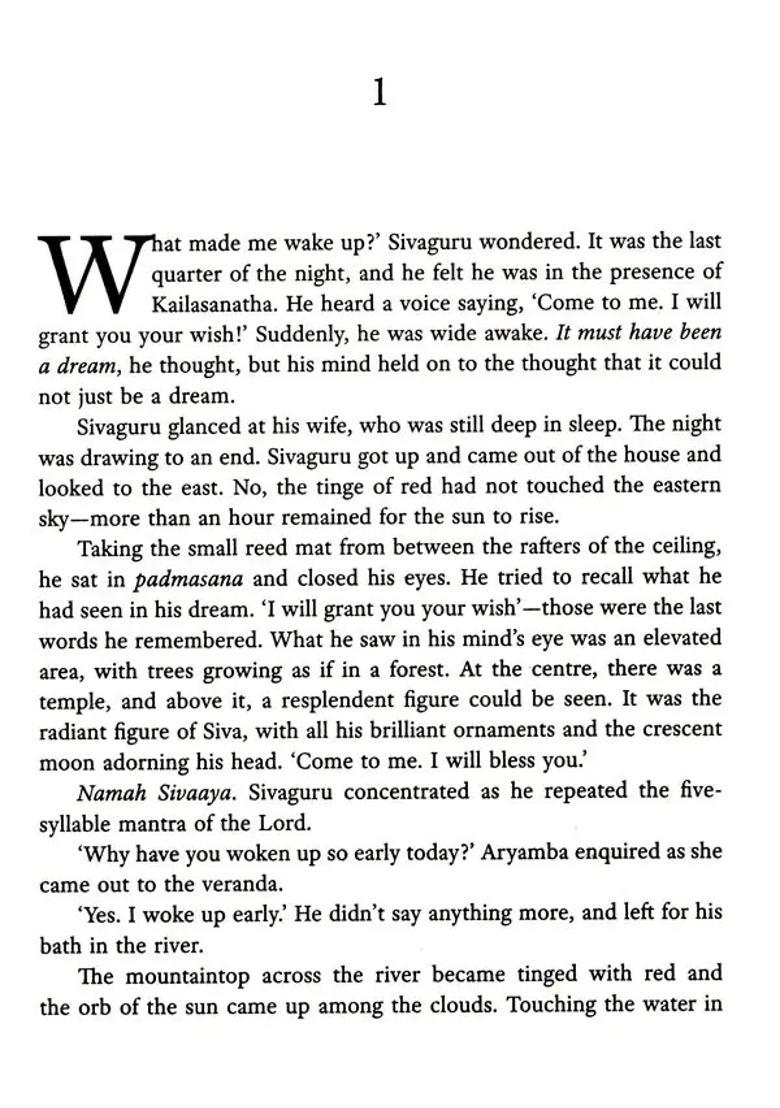 Sankaracharya - Indya