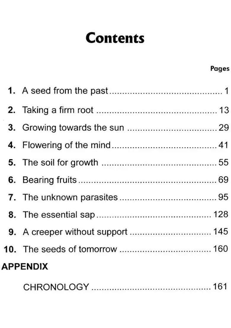 Mira To Mother A Journey Of Mind To Divine - Indya
