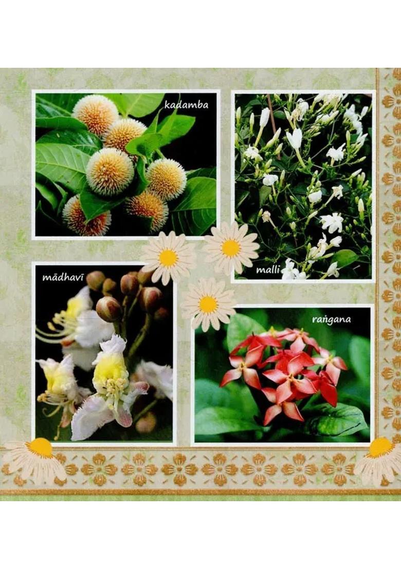 The Flower Garden Of Radha-Damodara - Indya