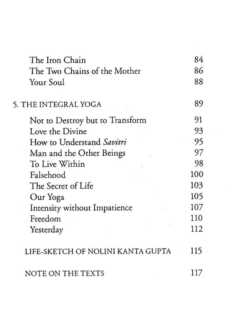 The Mother Abides Final Reflections 1973-1983 - Indya
