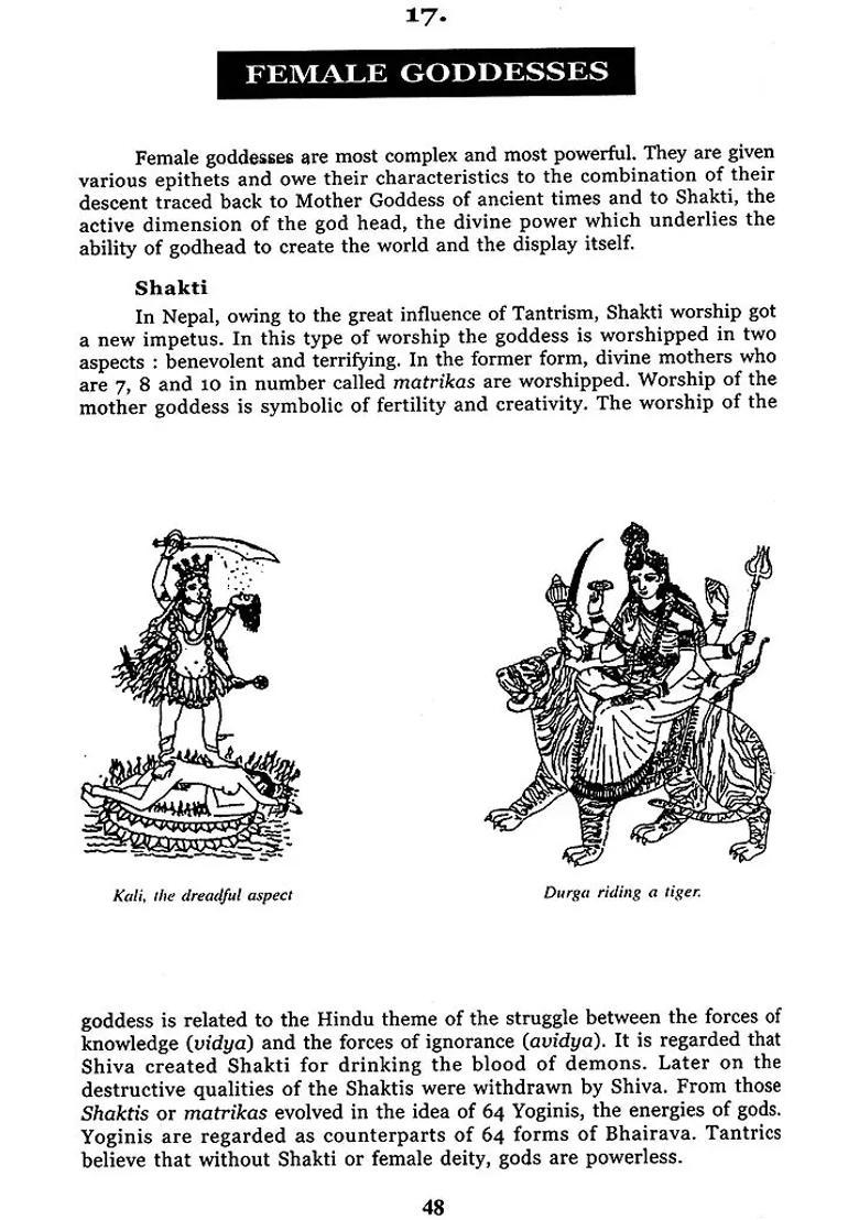 Hindu Buddhist And Tantric Gods And Goddesses Ritual Objects And Religious Symbols Authentic Accurate Sequential With Index And Research Based - Indya