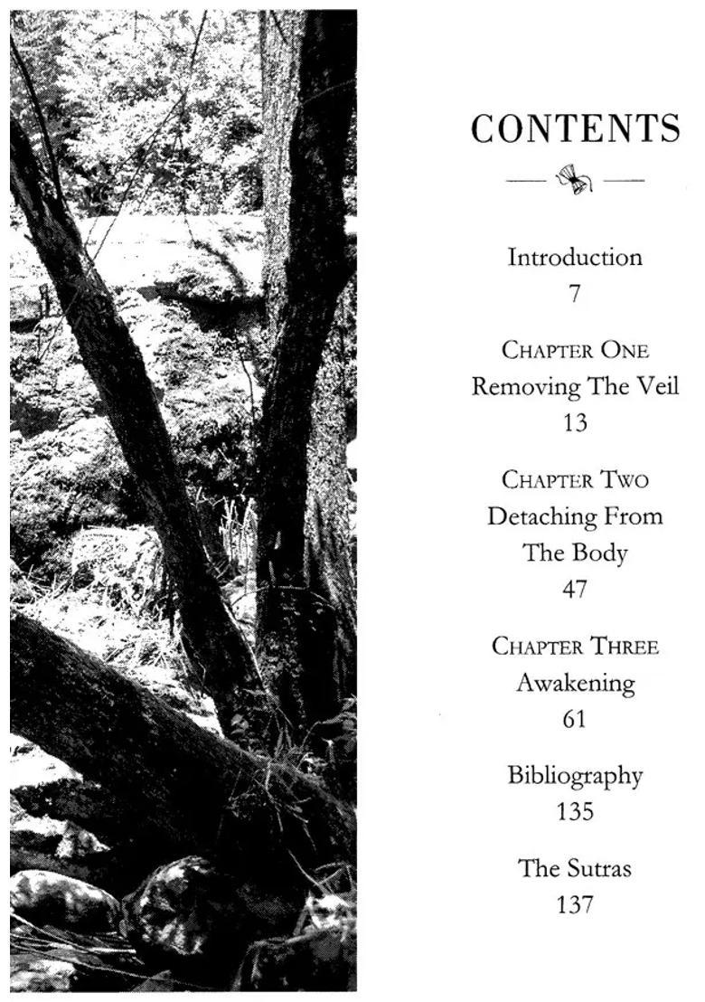 The Shiva Sutras - Indya