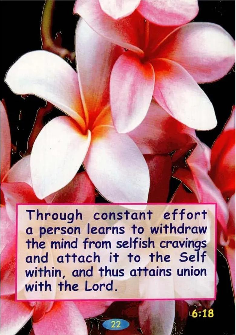 Selections From The Bhagavad Gita - Indya