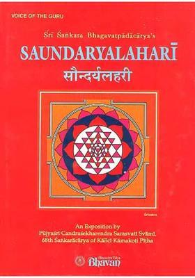 Sri Sankara Bhagavatpadacarya