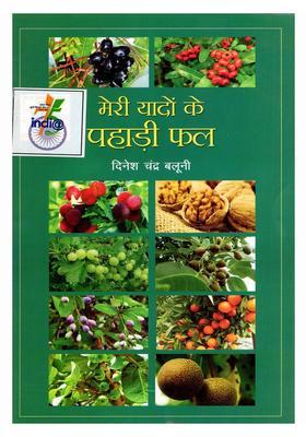 Meri Yadon Ke Pahadi Phal