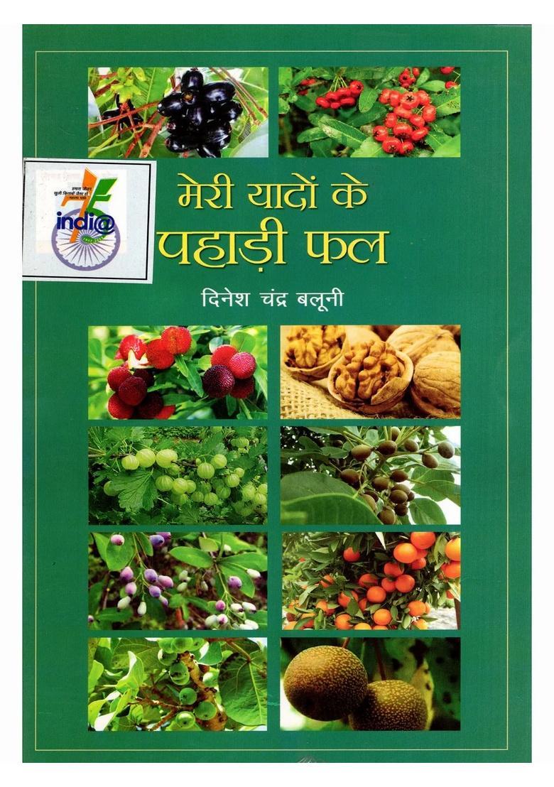 Meri Yadon Ke Pahadi Phal - Indya