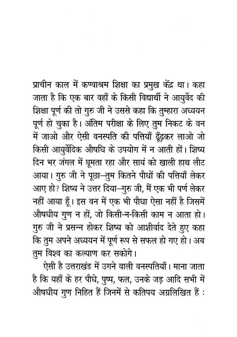 Meri Yadon Ke Pahadi Phal - Indya