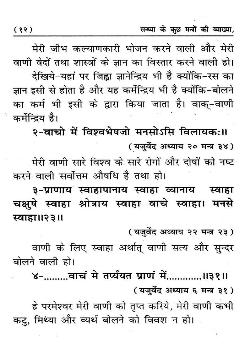 Sandhya Ke Kuch Mantron Ki Vyakheya - Indya