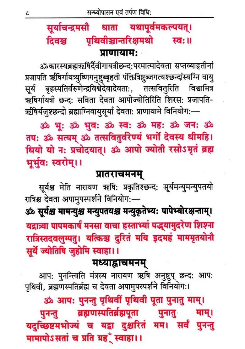 Sandhya Upasana and Tarpan Vidhi - Indya